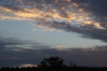 Magnificent view of blooming landscape with trees against the background of beautiful blue sky. Idyllic and ecologically clean territory. Photo wallpaper. Discovery of beauty of the earth. Spring.