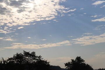 Magnificent view of blooming landscape with trees against the background of beautiful blue sky. Idyllic and ecologically clean territory. Photo wallpaper. Discovery of beauty of the earth. Spring.