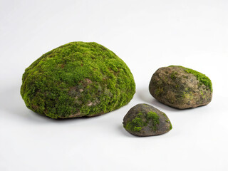 Three mossy stones isolated on white background