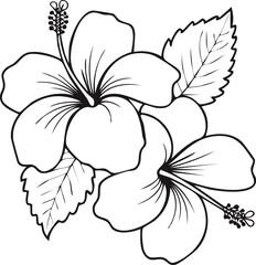 華やかなハイビスカスのイラスト