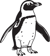 penguin vector illustration