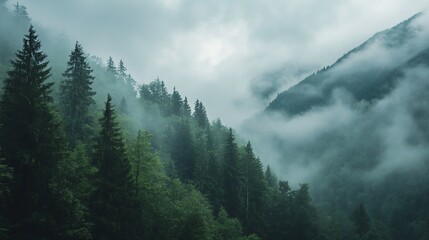 Ethereal Forest Landscape: Misty Mountains and Lush Green Trees