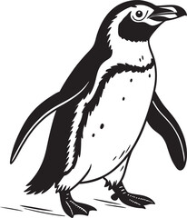 penguin vector illustration