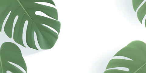 Lush green monstera leaves arranged artistically on a clean white background, creating a fresh and vibrant atmosphere, ideal for nature-themed designs and decorations