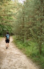 Obraz premium Man Walking Along a Forest Path