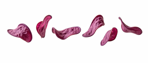 Delicate pink petals floating gracefully, showcasing their unique shapes and textures, evoke sense of tranquility and beauty