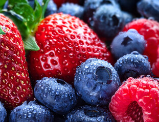 Fresh Mixed Berries with Water Droplets &ndash; Macro Close-up