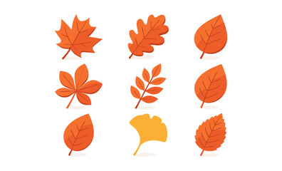 Autumn leaves collection: colorful fall foliage set on gradient background