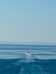 Boat in the sea