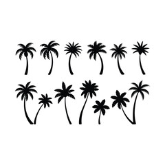 Collection of black silhouette palm trees isolated on white background for design and decoration