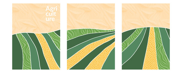 Rural eco farmland background with abstract pattern, vector vineyard field, green nature texture, tea design, grape illustration, collage art, flat layout, organic view poster, landscape corn