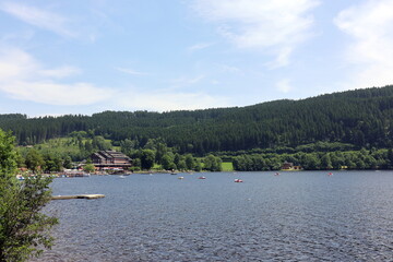 Der Titisee im Schwarzwald an einem sonnigen Sommertag