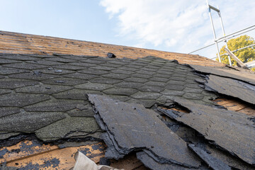 Removal of roofing felt on an old shed.