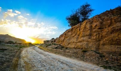 mountain road in the mountains
