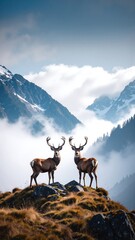 Two majestic deer stand gracefully atop a rugged mountain peak, their antlers silhouetted against a vibrant sunset sky, surrounded by lush greenery.