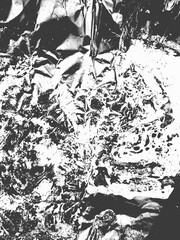 Rough texture. Worn down grain abstract scratched noise pattern design. Distressed overlay texture design. Grunge urban stained speckled dappled gritty texture. Grungy background. illustration