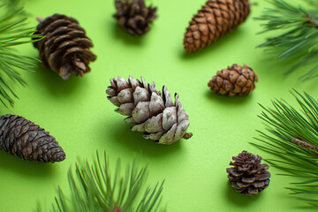 Pine Cones on Green Background. Pine cones on a green background. Perfect for seasonal designs, nature themes, or holiday decorations.