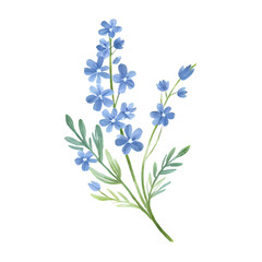 beautiful blue watercolor flowers on a transparent background