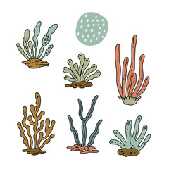 Collection of colorful hand-drawn seaweed illustrations with various shapes