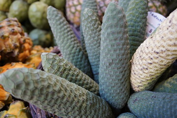 The pineapple banana, also known as Monstera deliciosa, is an exotic fruit native to Madeira. Sano...