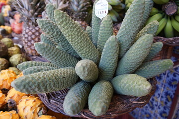 The pineapple banana, also known as Monstera deliciosa, is an exotic fruit native to Madeira. Sano...