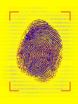 Fingerprint against yellow background with binary numbers