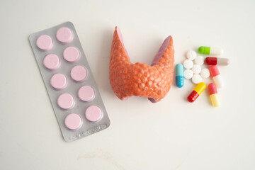 Thyroid model with pill drug treatment, Hyperthyroidism, Overactive or Lymphoma.