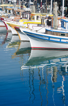 Historic "Monterrey Clippers" fishing fleet