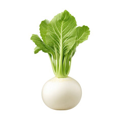 Fresh Raw White Turnip with Green Leaves on Isolated Background Perfect for Culinary or Nutritional Visuals Transparent background or png