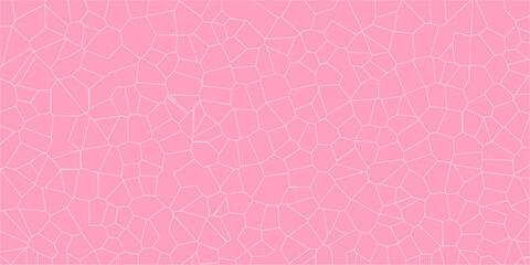 Fracture Line of Imaginative Order

