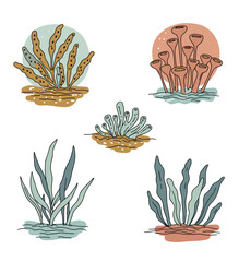 Set of hand-drawn seaweed and moss illustrations in various styles