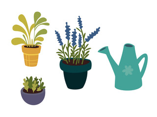 Set of potted plants and watering can. Flat vector illustration of indoor herbs and garden tools. Minimal style home gardening clipart for eco, botany or farming topics.