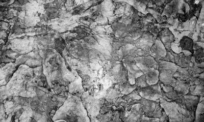 Black and white marbled cracked background