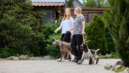 Everyday together. Two women, mother and daughter, stroll with their dogs through a vibrant garden...