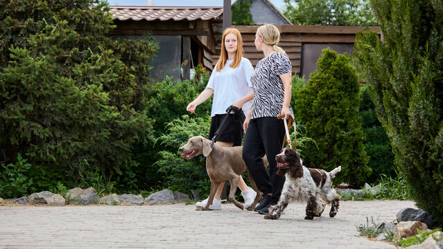 Everyday together. Two women, mother and daughter, stroll with their dogs through a vibrant garden on a sunny day. Concept of family lifestyle, pet and people connection