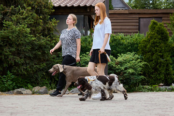 Everyday together. Women strolling together with their dogs along paved path in lush, green garden...