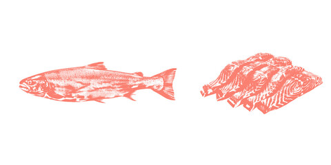 Salmon Fish and Fillet Vintage Illustration for Seafood Menu, Culinary Art, Restaurant Decor PNG