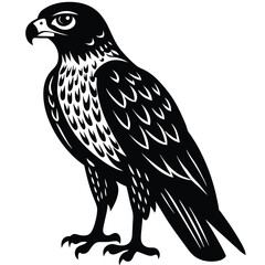 Fototapeta premium Hawk single bird vector shilhouette 