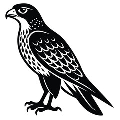 Fototapeta premium Hawk single bird vector shilhouette 