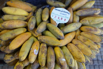 Tropical fruits growing on the island of Madeira in Portugal. Madeira, Portugal.