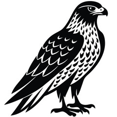 Fototapeta premium Hawk single bird vector shilhouette 