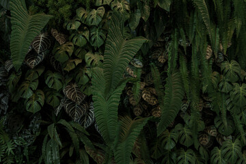 Mixed leaves, green leaves, abstract texture, tropical leaves, natural dark green background.