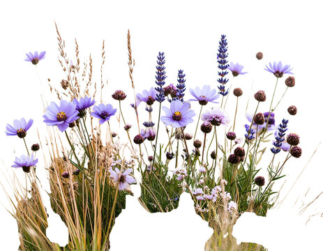 Artistic Arrangement of Purple Flowers and Grass with Soft Focus, Isolated Transparent Background PNG