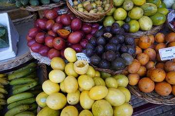 Tropical fruits growing on the island of Madeira in Portugal. Madeira, Portugal.