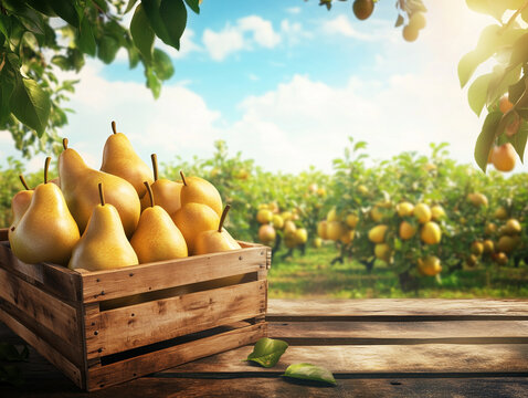 Box of ripe pears on a wooden table