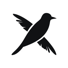 Black bird in flight