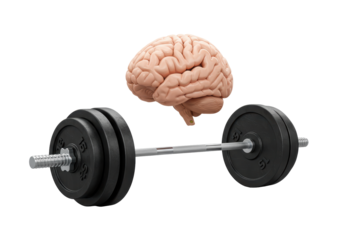 Isolated Brain and Barbell for Mental and Physical Strength