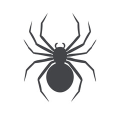 Dark spider silhouette
