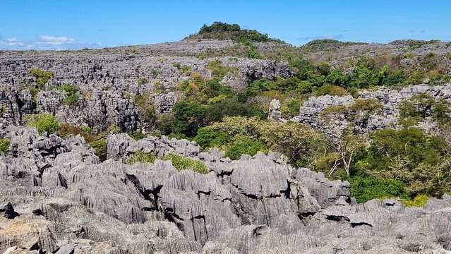 madagascar parc ankarana