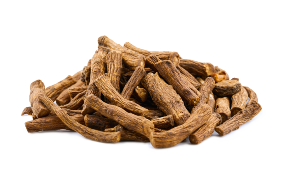 closeup pile of dry dandelion root herb for loose tea cutout